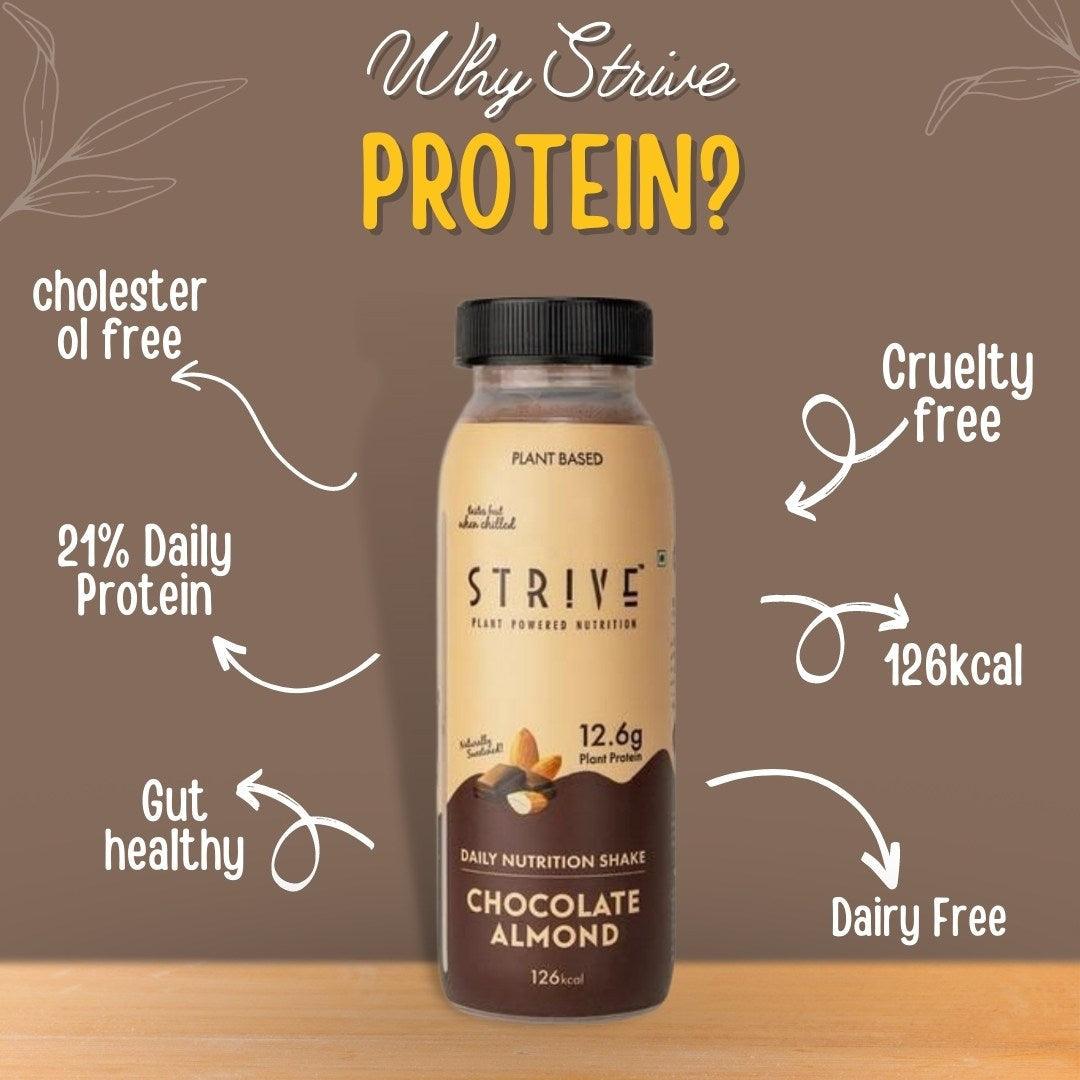 Protein Shakes - Strive - Wildermart