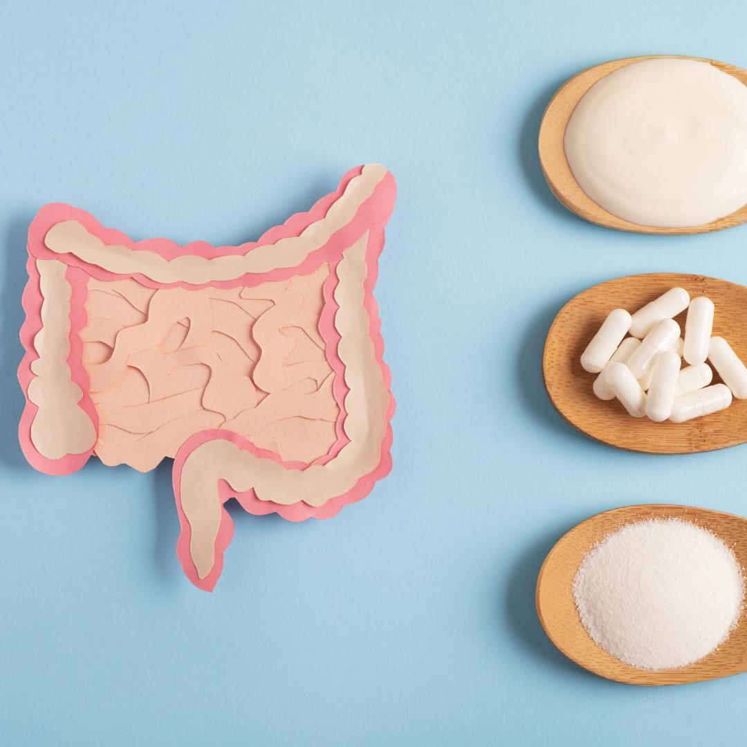 Understanding the Gut Microbiome: A Beginner's Guide