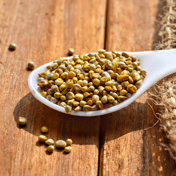 Bajra: The Nutrient-Rich Grain for Vitality and Wellness - Wildermart