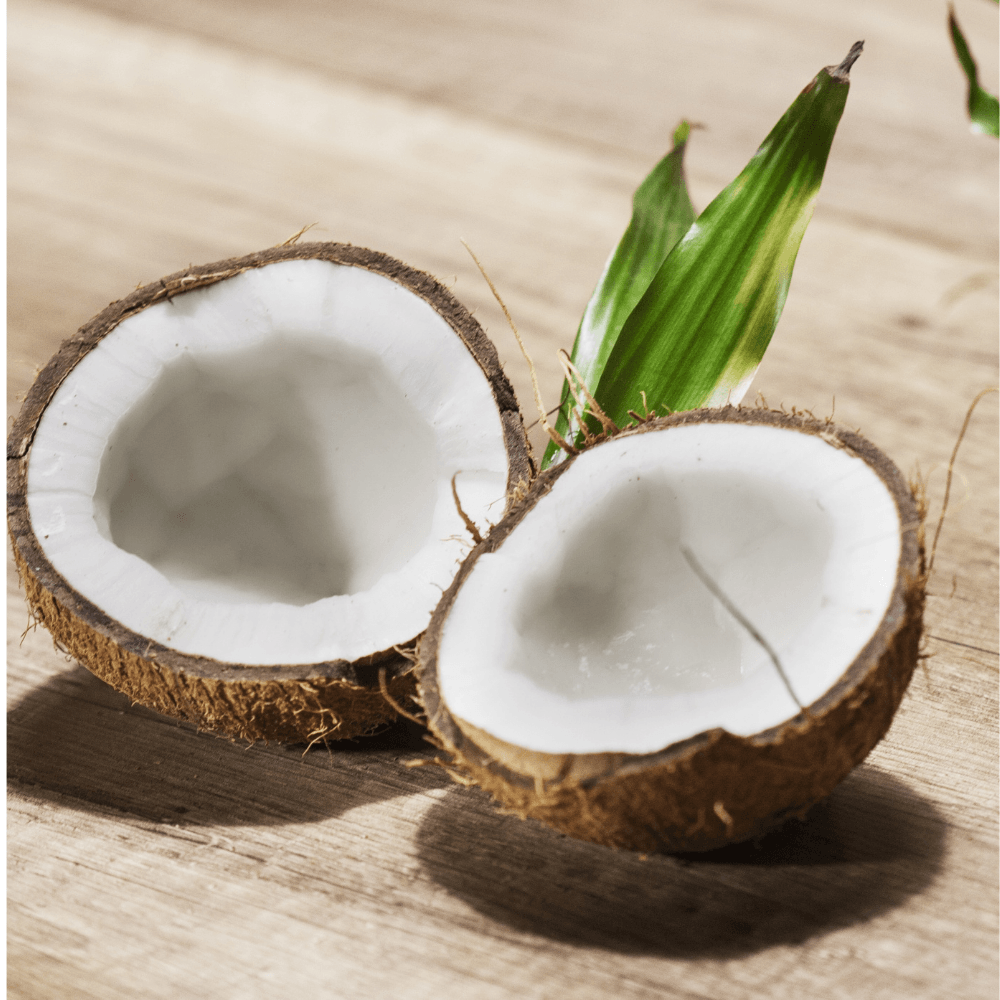 Exploring the Nutritional Benefits of Coconut and Its Various Products - Wildermart