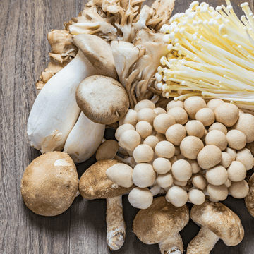 Mushroom: Unveiling the Nutritional Benefits of this Fungi - Wildermart