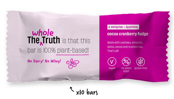 Energy Bars - Cocoa Cranberry Fudge - TWT - Wildermart