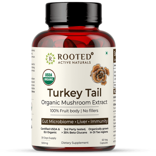 Rooted Turkey Tail mushroom Extract Capsules - Wildermart